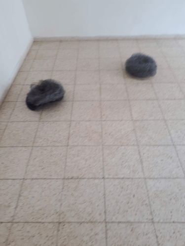 דוגמא לפוליש 4